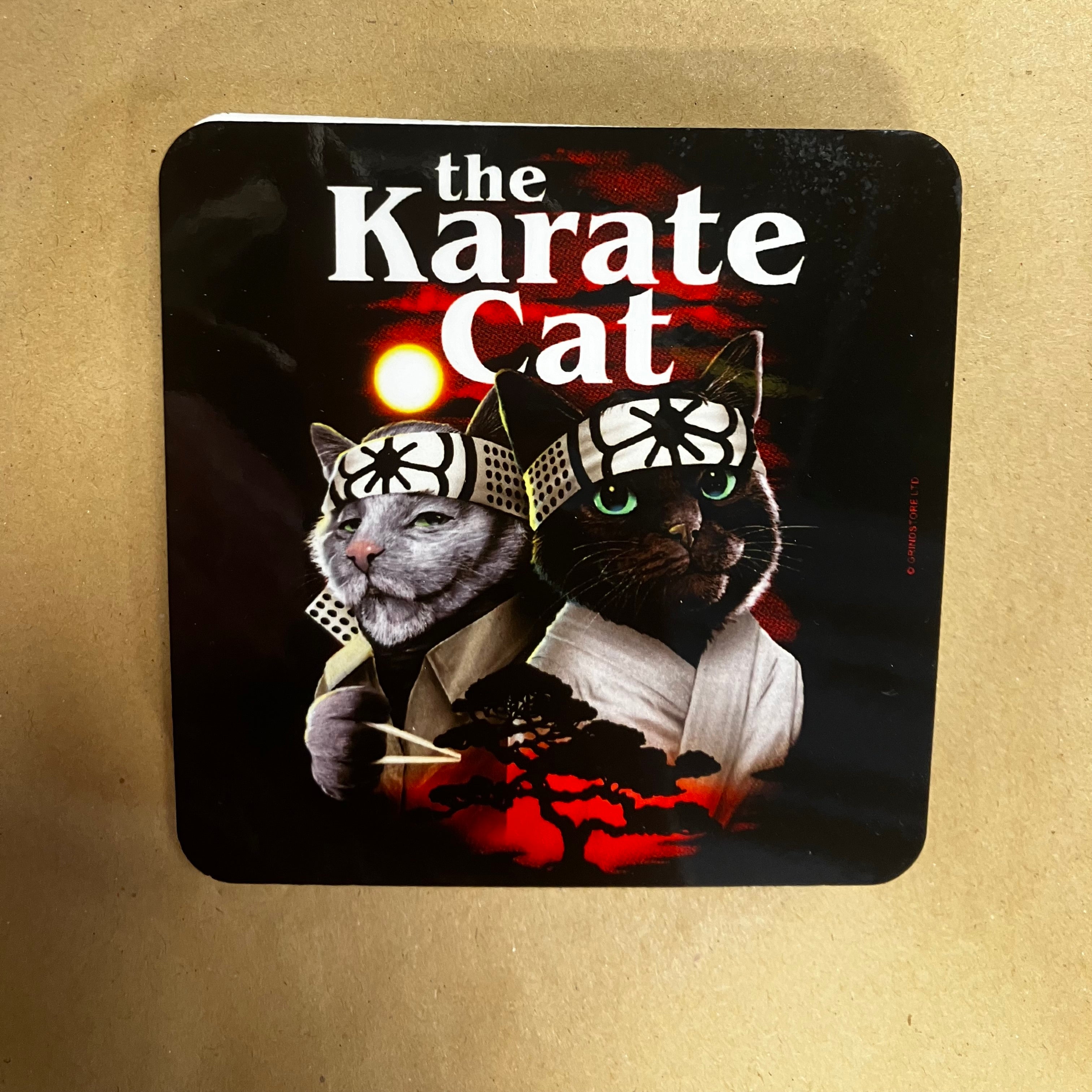 Funny / Rude Coaster - Choice of design