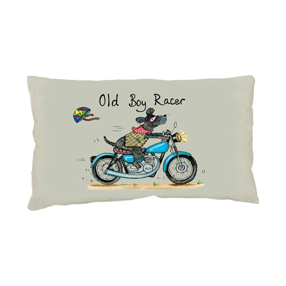 Old dog Boy racer funny cushion